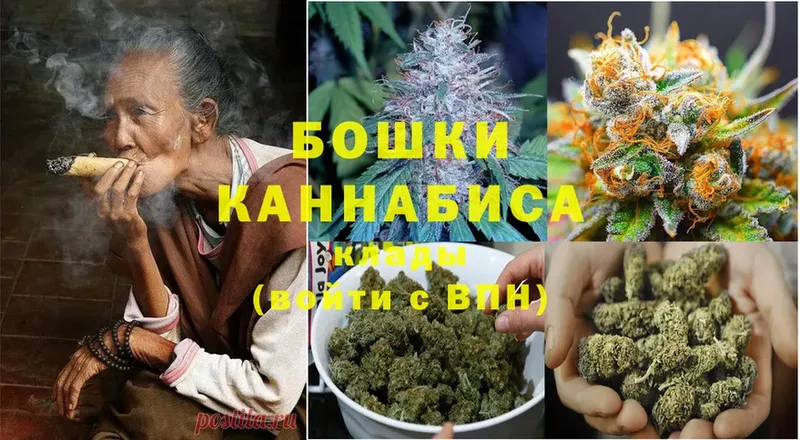 Шишки марихуана SATIVA & INDICA  Гдов 